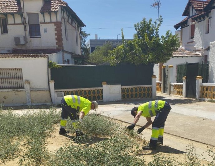 Archivo - Operarios municipales.