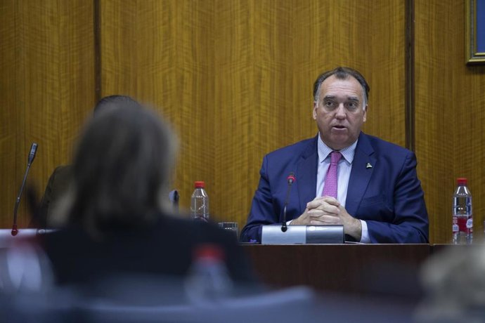 Archivo - El consejero de Turismo, Cultura y Deporte, Arturo Bernal, en una imagen de archivo de una comparecencia parlamentaria.