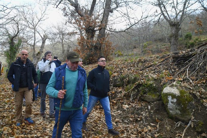 El conselleiro do Medio Rural, José González, visita castañares en O Bolo (Ourense).
