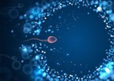 Foto: La criopreservación de óvulos y espermatozoides ofrece la posibilidad de tener hijos tras el cáncer, según experta