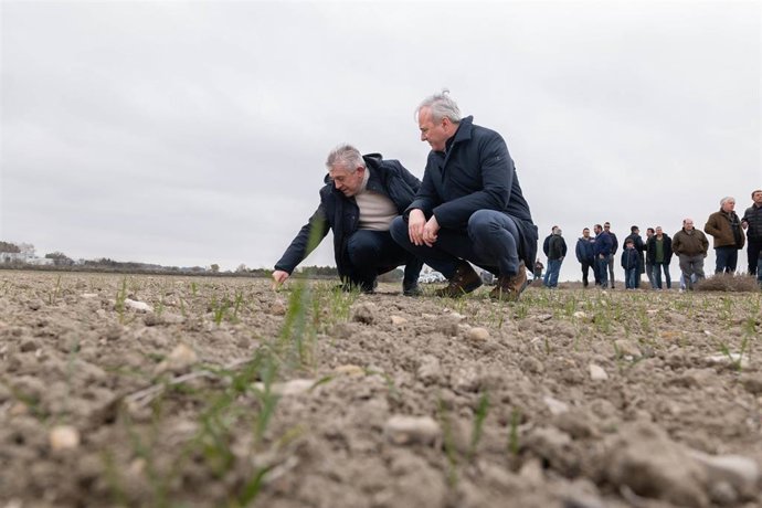 Azcón y Samper visitan las zonas afectadas por la sequía en la Comarca de Los Monegros.