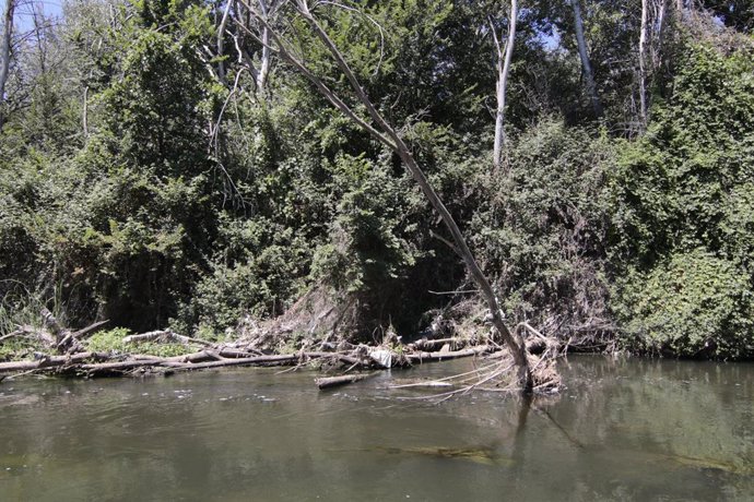 Río Jarama.