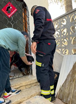 Rescatan a una perrita rottweiler atrapada en las rejas de su casa en El Campello