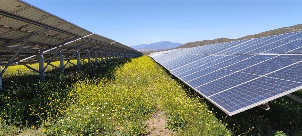 Archivo - Plantas solares de Soria y Palencia.