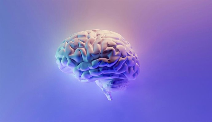 Recurso de Cerebro
