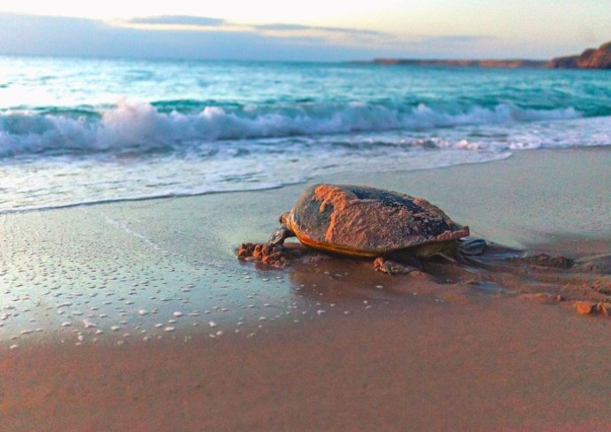 Cinco Estrellas Club presenta su nueva programación para 2024 con Omán como gran novedad.