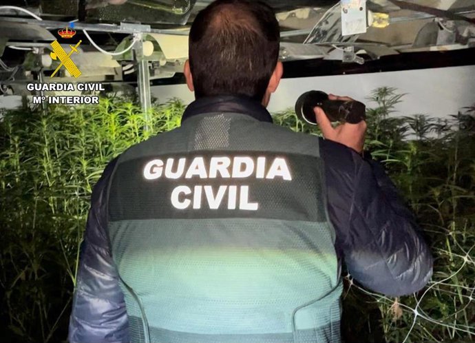 Agentes de la Guardia Civil, durante el registro de las plantaciones