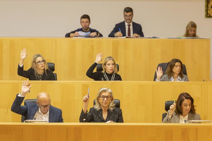 Pleno ordinario de enero en la Diputación de Málaga.