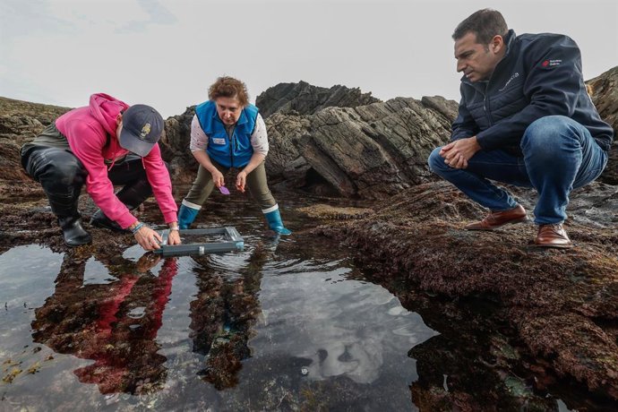 El conselleiro do Mar, Alfonso Villares, asiste a la suelta de juveniles de erizo de mar.