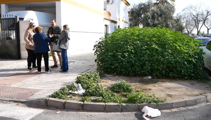 Estado de una calle en Sevilla Este.