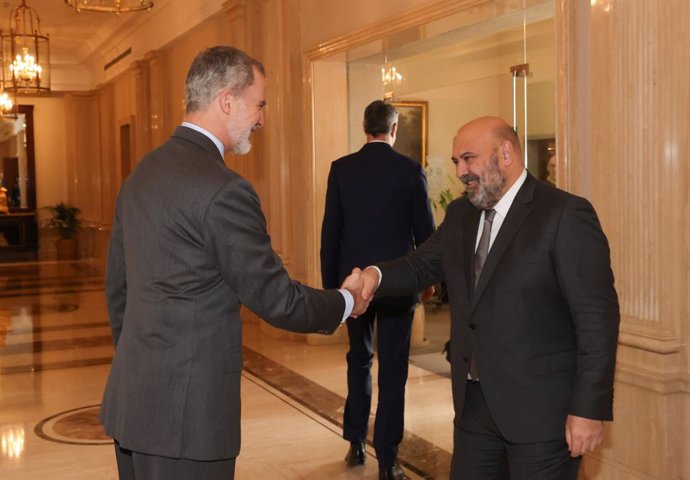 Momento de la audiencia en que el Rey, Felipe VI, saluda al alcalde de Palma, Jaime Martínez.