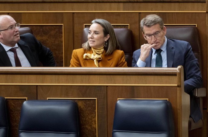 (I-D) El portavoz del Grupo Parlamentario Popular en el Congreso, Miguel Tellado; la secretaria general del Partido Popular, Cuca Gamarra, y el líder del PP, Alberto Núñez Feijóo, durante una sesión plenaria, en el Congreso de los Diputados, a 30 de ene