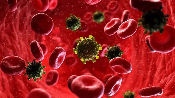 Cellbitec y Universidad de Granada desarrollan un nanofármaco contra el cáncer de páncreas