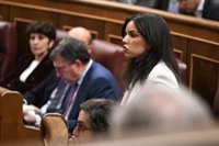 Vox, tras la votación de la amnistía: Junts "dirige la destrucción del Estado de Derecho y Sánchez, de rodillas"