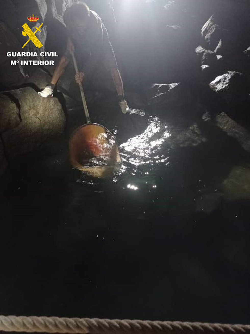 El Seprona de Fuerteventura recupera un angelote o tiburón ángel que se encontraba golpeándose contra las piedras del muelle deporitvo del Castillo