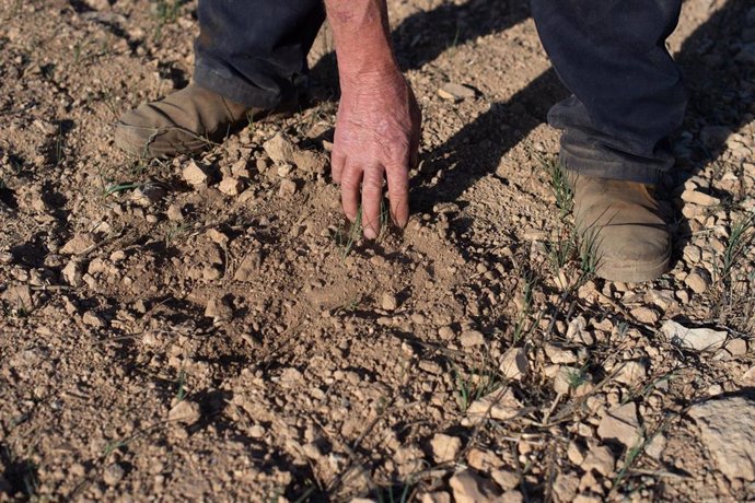 Archivo - Un agricultor muestra la tierra seca