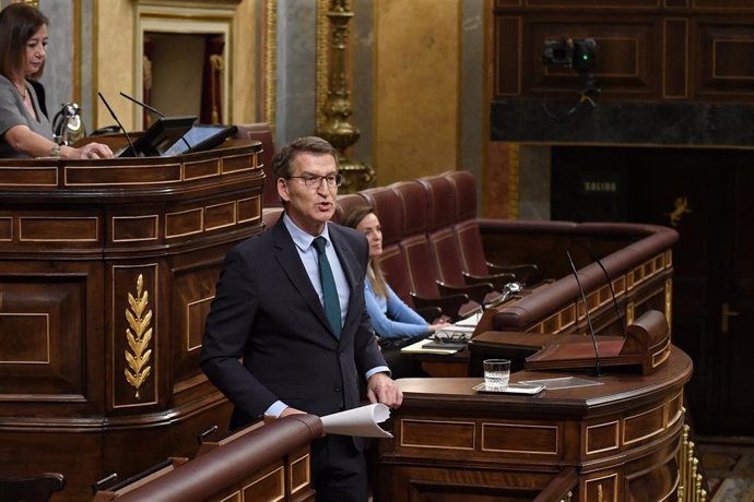 El líder del PP, Alberto Núñez Feijóo, interviene durante una sesión plenaria, en el Congreso de los Diputados, a 30 de enero de 2024, en Madrid (España). El Pleno del Congreso celebra una sesión extraordinaria hoy para debatir y votar el dictamen de la