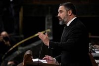 Vox registra en el Congreso su solicitud de referéndum sobre el artículo 49 de la Constitución, a falta de dos firmas