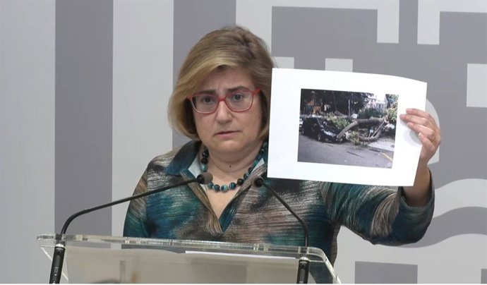 La portavoz del Ayuntamiento de Palma, Mercedes Celeste.