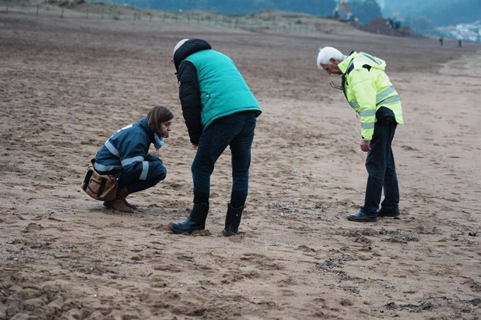 Archivo - Voluntarios recogen pellets en la playa de La Arena