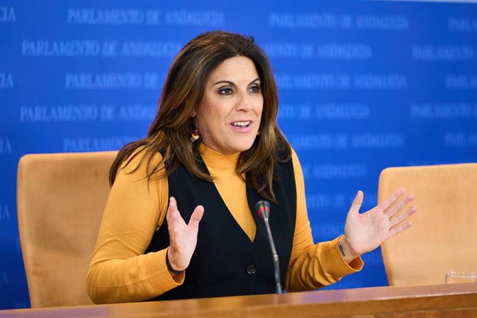 La portavoz del Grupo Parlamentario Socialista, Ángeles Férriz, durante la ronda de ruedas de prensa de portavoces de los grupos parlamentarios en el Parlamento de Andalucía, a 31 de enero de 2024 en Sevilla (Andalucía, España). Los portavoces de los gr