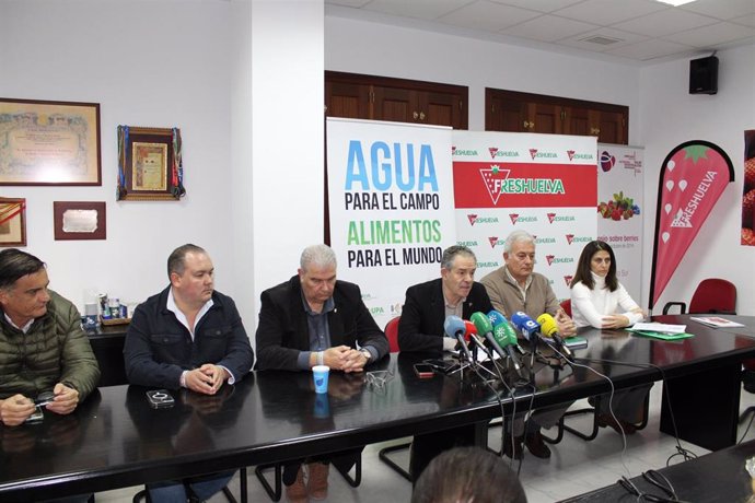 Imagen de la rueda de prensa de las organizaciones agrarias de Huelva para la manifestación de este jueves en Sevilla.