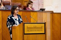 La consejera de Salud abordará la situación de la sanidad andaluza en el primer Pleno del Parlamento de 2024