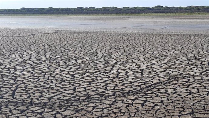 Imagen de la laguna de Santa Olalla, en Doñana (Huelva).