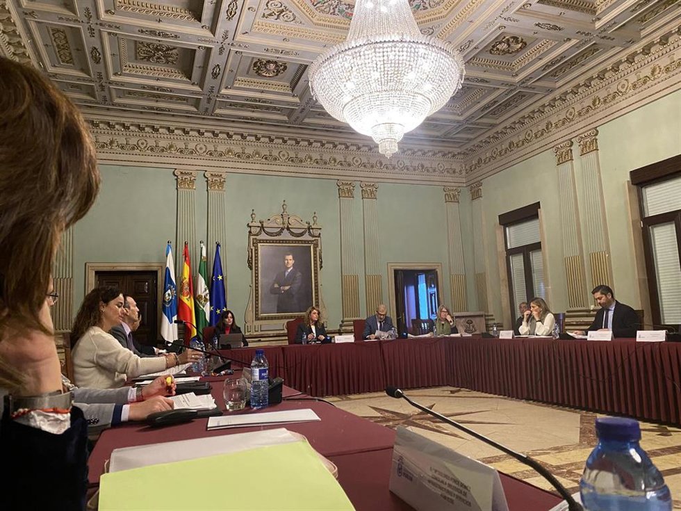 Imagen del Pleno ordinario de enero del Ayuntamiento de Huelva.