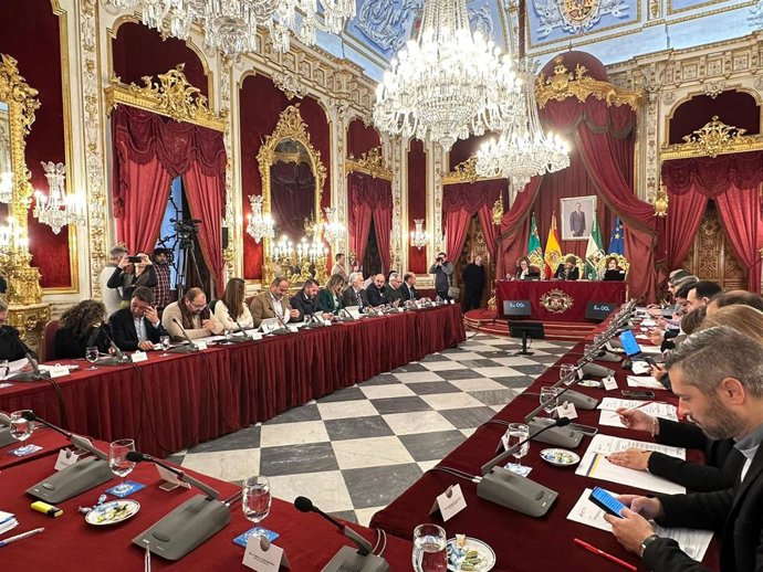 El pleno de enero de 2024 de la Diputación de Cádiz.