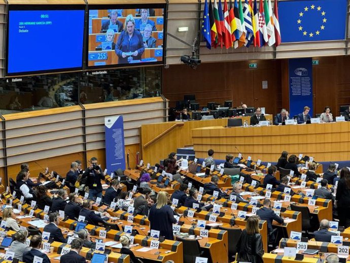 La Directora General De Fondos Europeos Y Relaciones Con La Unión Europea Del Gobierno De La Rioja, Esther Herranz, En Su Intervención En El Comité De Las Regiones