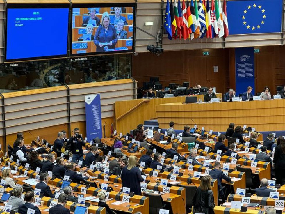 La Directora General De Fondos Europeos Y Relaciones Con La Unión Europea Del Gobierno De La Rioja, Esther Herranz, En Su Intervención En El Comité De Las Regiones