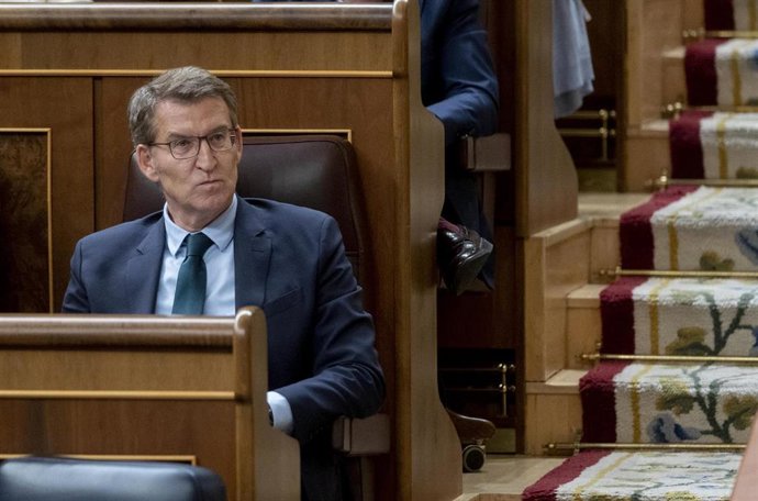 El presidente del Partido Popular, Alberto Núñez Feijóo, durante una sesión plenaria, en el Congreso de los Diputados, a 30 de enero de 2024, en Madrid (España). 