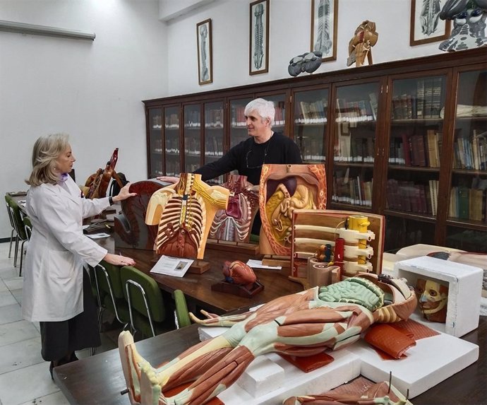 Estudiantes de Bellas Artes restauran modelos anatómicos de Medicina.