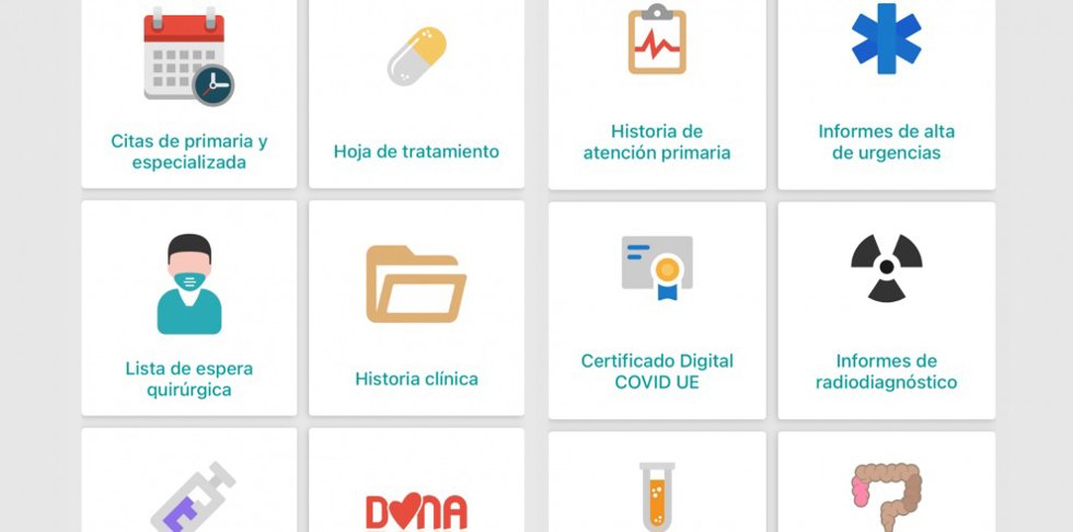 Algunos de los iconos coloreados de la aplicación de Salud Informa.