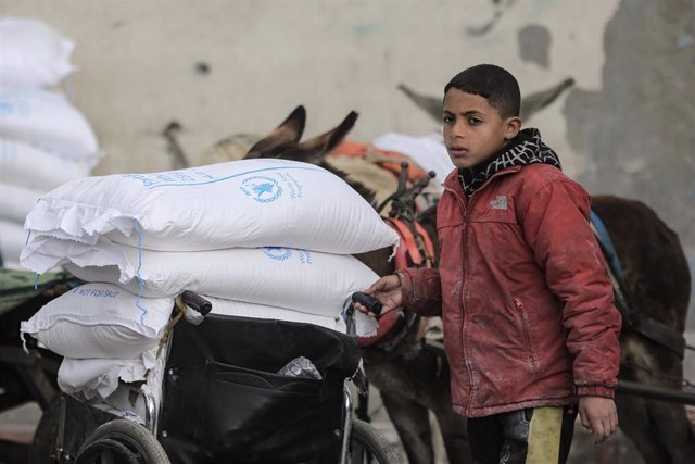 Un niño recibe ayuda de la UNRWA en Rafá, en la Franja de Gaza