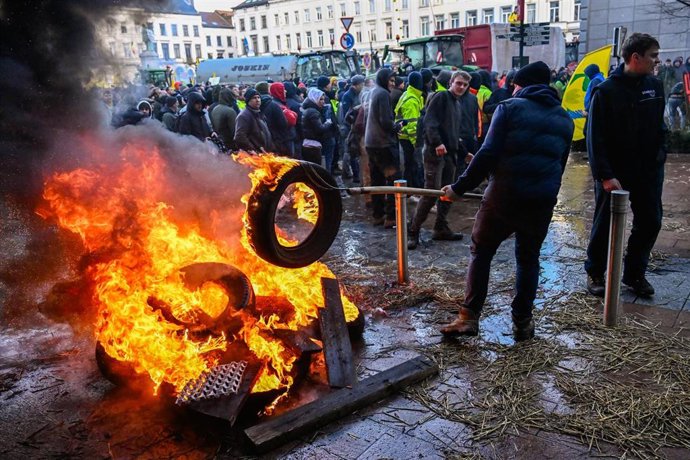 Protesta de agricultores y ganaderos en Bruselas. 