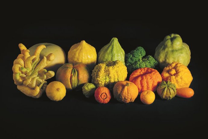 'Un Viaje A Través De La Historia Y Del Arte', Último Título Publicado Por La Fábrica Con Todolí Citrus Fundació