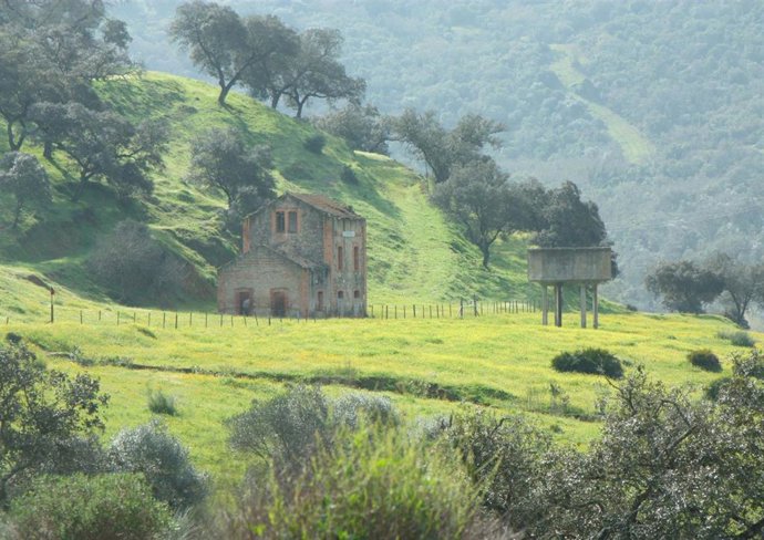Caminos rurales de Andalucía.