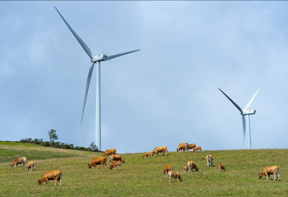 Parque Eólico Alto De Abara, En Coaña (Asturias).