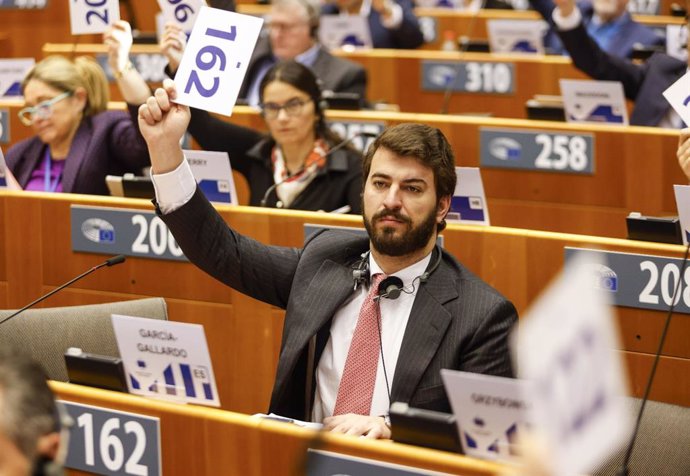 El vicepresidente de la Junta de Castilla y León, Juan García-Gallardo, en el Comité de las Regiones