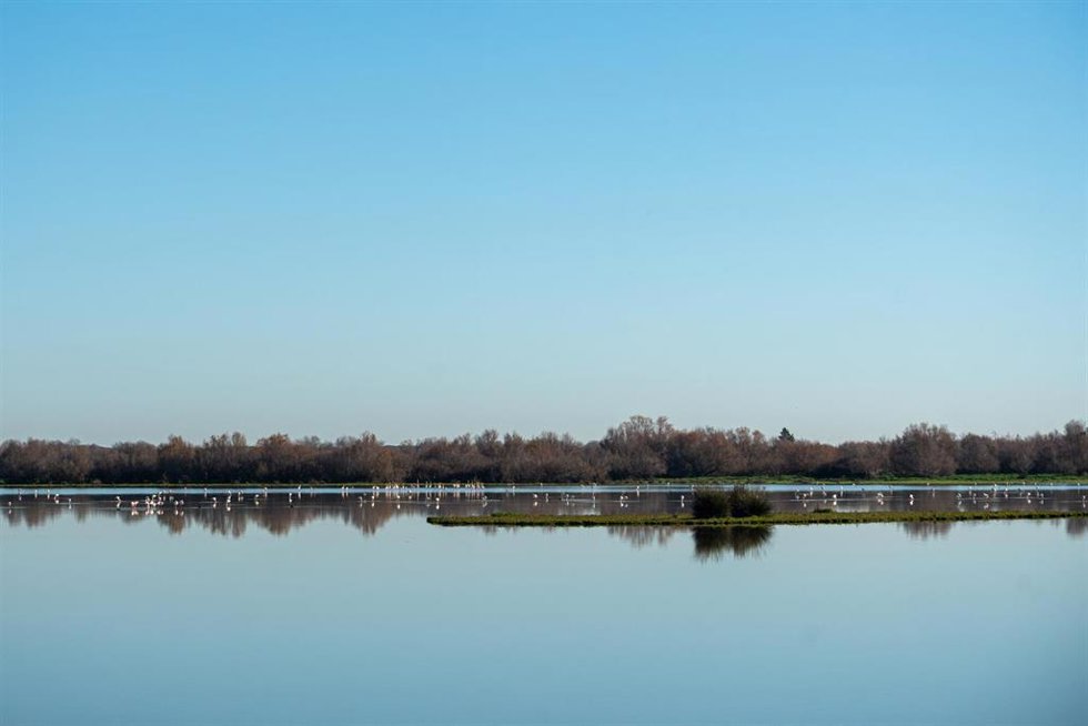 Imágenes del Parque Natural de Doñana, a 24 de enero de 2024, en Huelva, Andalucía (España).