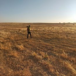 Archivo - Trabajos de prospección arqueológica en el trazado previsto de la Variante Noroeste de Pozoblanco.