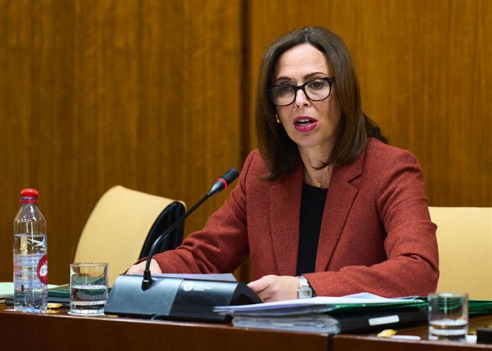 La consejera de Fomento, Rocío Díaz, en la comisión parlamentaria del 2 de febrero de 2024.