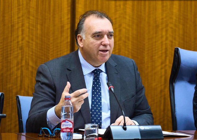 El consejero de Turismo, Cultura y Deporte, Arturo Bernal, en la comisión parlamentaria del 2 de febrero de 2024.
