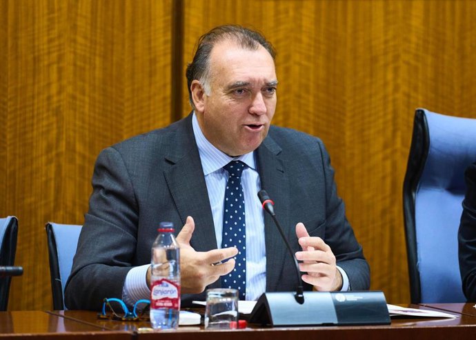 El consejero de Turismo, Cultura y Deporte de la Junta de Andalucía, Arturo Bernal, en la comisión parlamentaria del 2 de febrero de 2024.