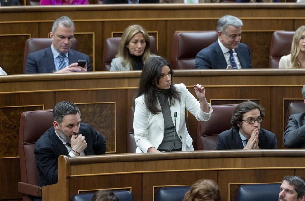 La portavoz de VOX en el Congreso, Pepa Millán (c), interviene durante una sesión plenaria, en el Congreso de los Diputados, a 30 de enero de 2024, en Madrid (España).