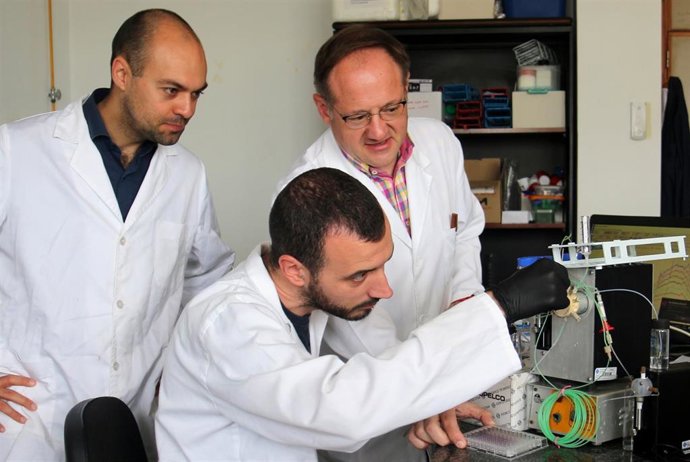 Archivo - Investigadores de la UIB en una imagen de archivo.