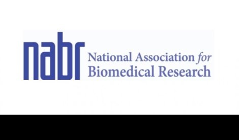 Comunicados Internacional