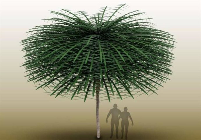 Modelo de Sanfordiacaulis con estructura de ramificación simplificada para una visualización más sencilla. Tenga en cuenta que los humanos se proporcionan para la escala, pero no existieron al mismo tiempo que el árbol.?